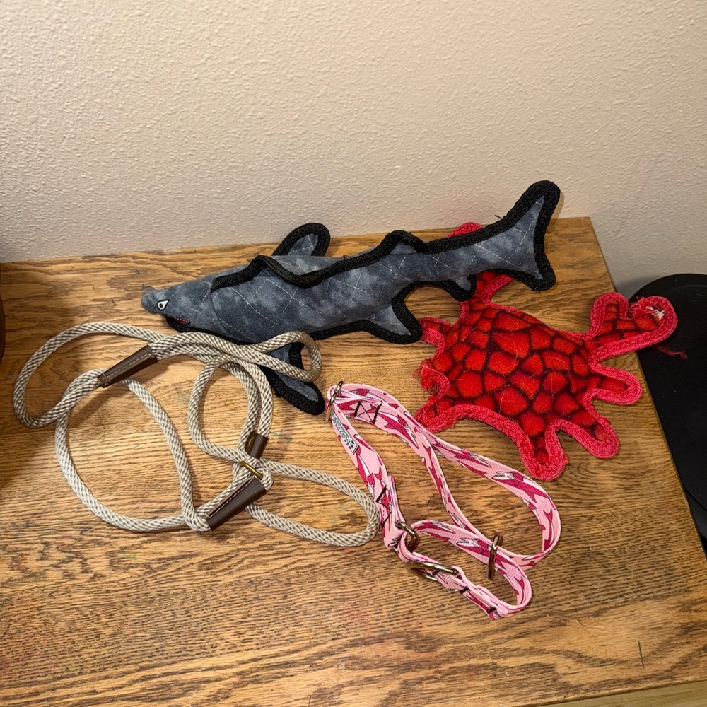 Pet Toy and Leash Set